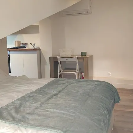 Appartement Gubernatis Centre Nice