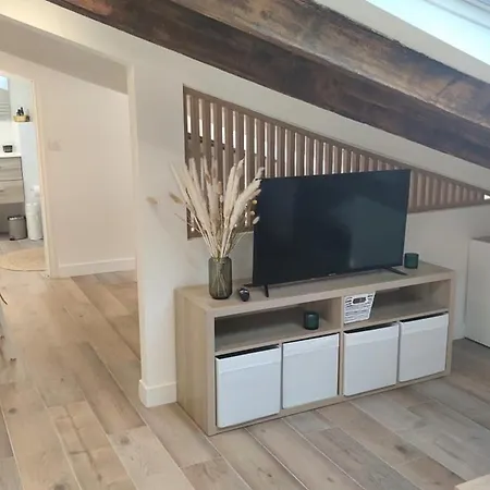 Appartement Gubernatis Centre *