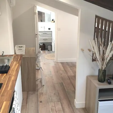 Gubernatis Centre Apartment *