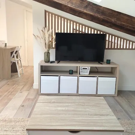 Gubernatis Centre Apartment Nizza