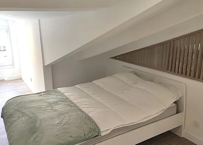 Apartment Gubernatis Centre Nizza