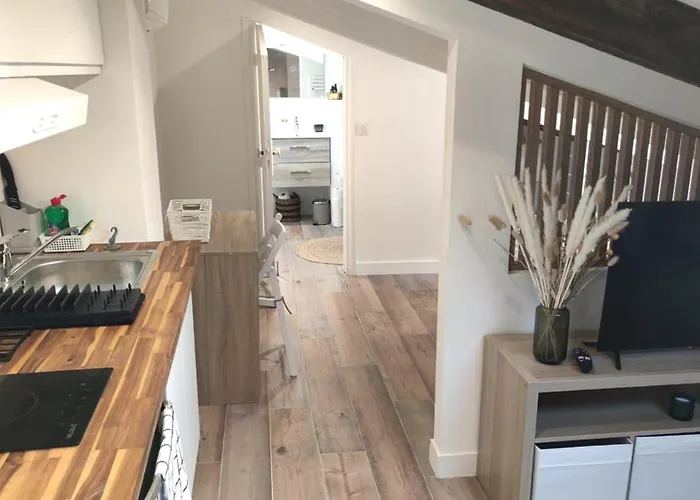 Gubernatis Centre Apartment *